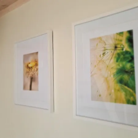 Ciki Puki Apartamentai Pienes Pukas * Паланга