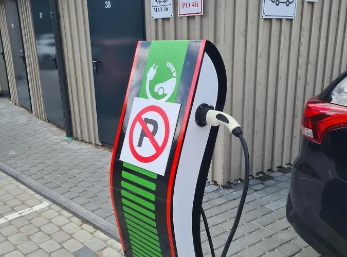 Ciki Puki Apartamentai Pienes Pukas Palanga